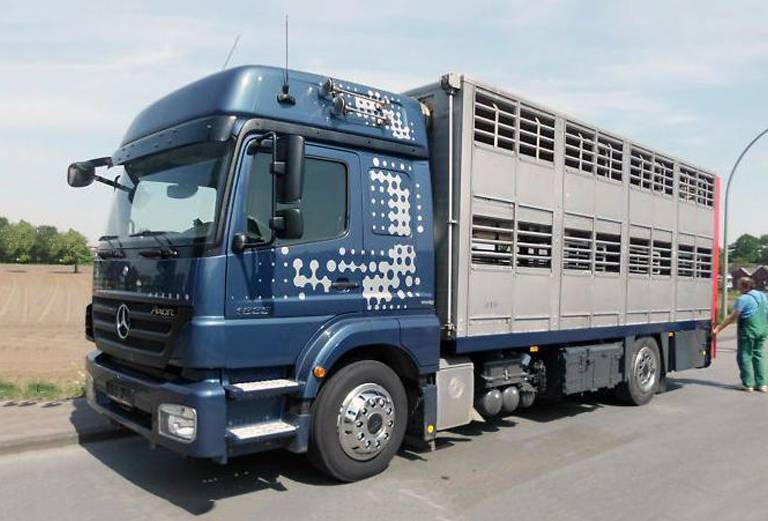 Перевозка лошади автотранспортом из Москва в Новосибирск